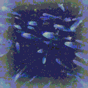 𐔌 。𓏼‿︵ mgmi