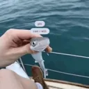 tuffest of them all Discord server icon