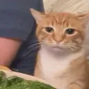 마감디코