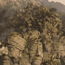 The Jungle || social • sfw ...