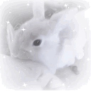 𓐄       ּ♡    𓈒  —— Discord server icon