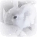 𓐄       ּ♡    𓈒  ——