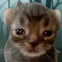 Refugees Discord server icon