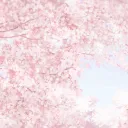 ౨ৎ    ┆  @   —   cupid’s arrow   !  ✩
