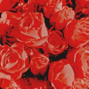 The Solar Palace Discord server icon