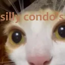 silly condos