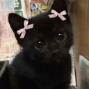 ♡ 𝒦𝒾𝓉𝓉𝓎 𝒞𝒶𝒻𝑒 ♡ Discord server icon