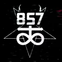 Shark profile picture