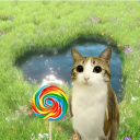 Legalz Community Server