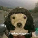 keke estudio