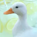 swiiper tutorial