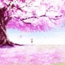 Sakuramori no Shinsei | 桜護り