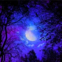Server icon for Astral Forest