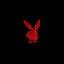 BASKIN #2026 Discord server icon