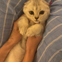 🎐 ◌ ֗ . KATSEYE CENTRAL —  Spoon the kitty☆⌒🫧p Discord server icon