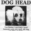 MissingDogHead