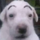 DEER DEER DEER Discord server icon