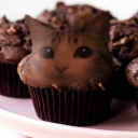 ᶻ 𝗓 𐰁 pride flags Discord server icon