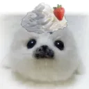Seal SMP