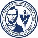 LMU-CVM interviewees (c/o 2030)
