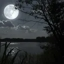 moonlight