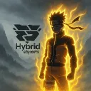 Hybrid coaching