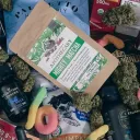 Cannabis and Psychedelic Drug Store