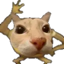doserver