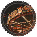 ⋆.˚🎪  𝑭𝑹𝑬𝑨𝑲𝑺𝑯𝑶𝑾 .ᐟ Discord server icon