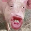 wow