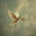 Dove