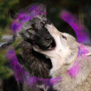 !! Aenocyon Dirus Reserve Discord server icon