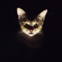 Friends Portal Discord server icon