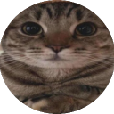 Thế Giới Loài Mèo