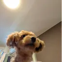 人間ドック