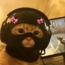 𝓕𝓪𝓼𝓽𝑼𝑷  ᶠᵖˢ⁷