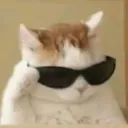 Choombas