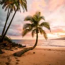 🌴・Paradise Palms 6x・🌴