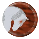 ˚୨୧⋆｡˚  𝐉𝐚𝐲'𝐬 𝐀𝐫𝐭 𝐂𝐨𝐫𝐧𝐞𝐫