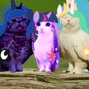 MLP Branch