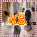 ﹐. 🌊₊˚﹑𓂃𐀔﹒  —  cvd⨳    ❜  ﹐.