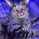 Ethn // Jacko HQ Discord server icon