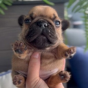 E & J HQ Discord server icon