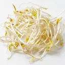S사
