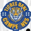 Tigers