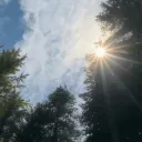 Yoyo’s habitat 🦢 icon