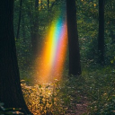 Forest of Pride Discord server icon