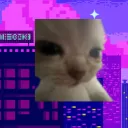 meowgen | THE BEST ALT GEN!