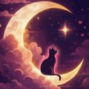 Night Vibes ! Discord Server Icon