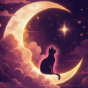 𝖭𝗂𝗀𝗁𝗍 𝖵𝗂𝖻𝖾𝗌 ! Discord server icon